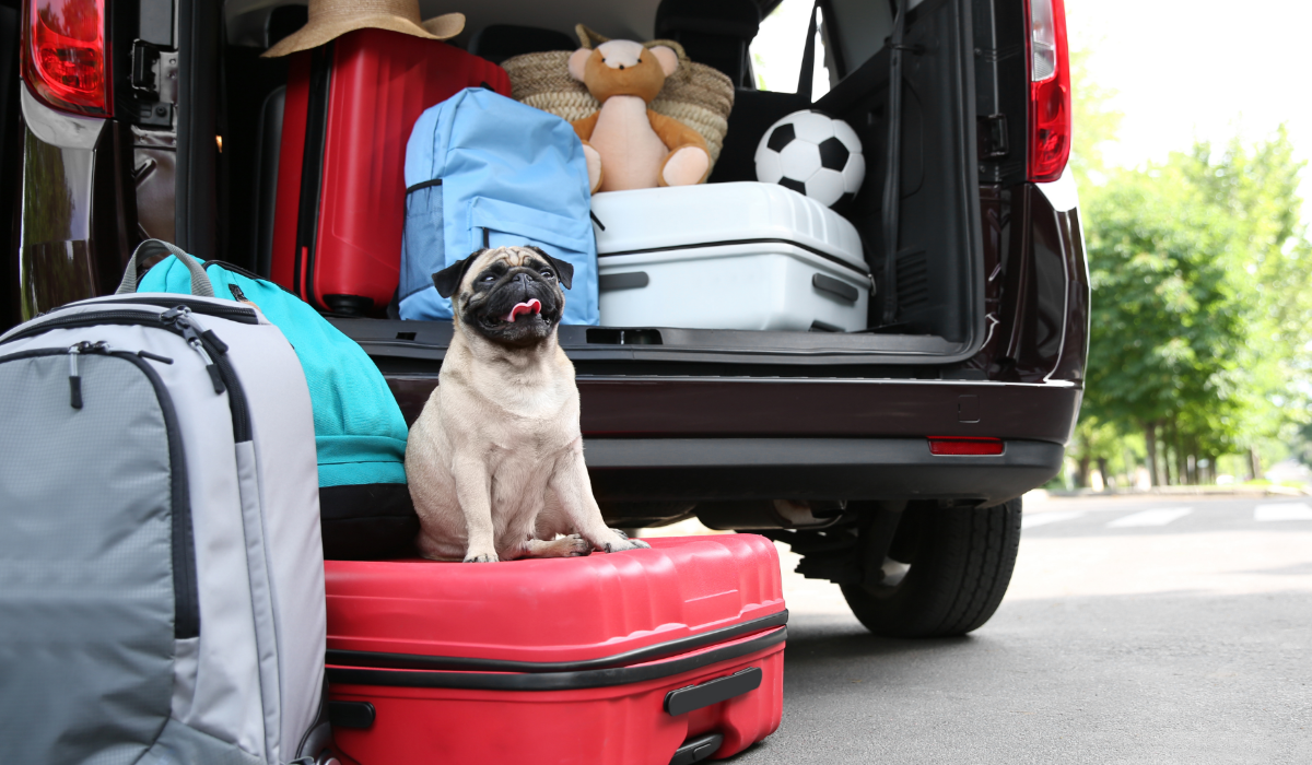 Pack like a pro for your next getaway shutterstock_599482589.jpg
