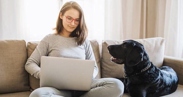 ¿Cómo crear un espacio seguro en el hogar para tu mascota?